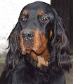 Fleur_5_Jan_08_00000865576881_f