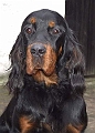 Fleur_5_Jan_08_00000865576882_f