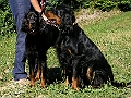 Fleur_KimiP1014338_f