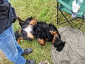 Picture_001_f