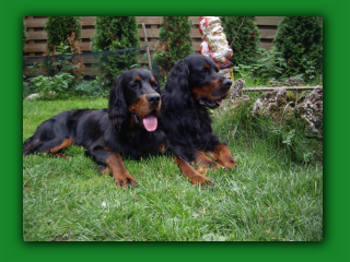 Yukon+Gino6055.jpg