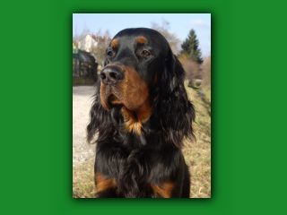 Yukon02-2011.jpg