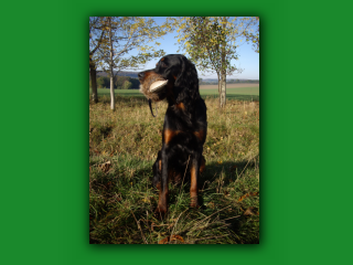Yukon11Monate6903.jpg