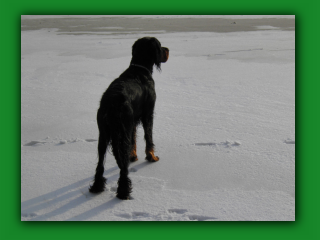 YukonDK2170170.jpg