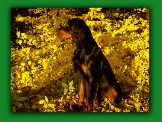 YukonHerbst6988.jpg