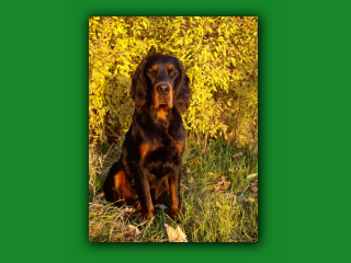 YukonHerbst7013.jpg